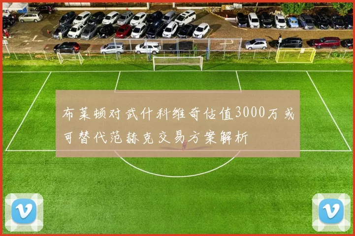 布莱顿对武什科维奇估值3000万或可替代范赫克交易方案解析